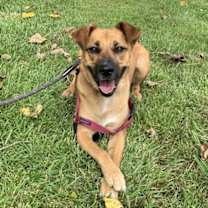 Thumbnail photo of Scarlett #1