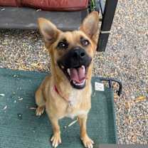 Thumbnail photo of Scarlett #4