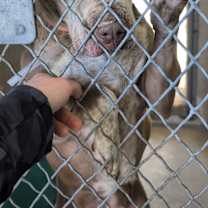 Thumbnail photo of Jesse #1