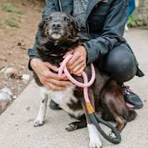 Thumbnail photo of Tilly #2