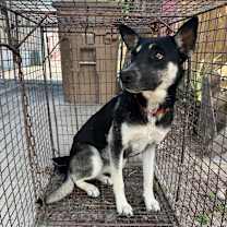 Thumbnail photo of Megan  #2