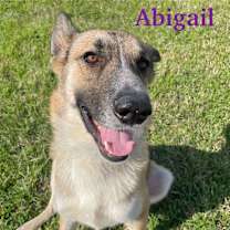 Thumbnail photo of Abigail #4