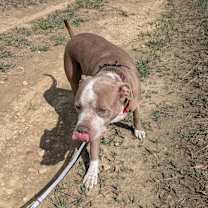 Thumbnail photo of Jesse #2