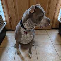 Thumbnail photo of Jesse #3