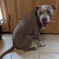 Thumbnail photo of Jesse #4