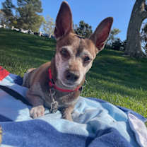 Thumbnail photo of Kobe #2