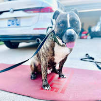 Thumbnail photo of JuJu #4