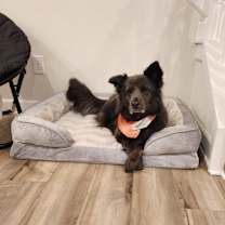 Thumbnail photo of Zoey #2