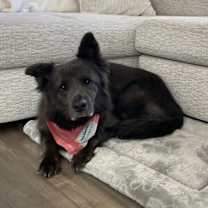 Thumbnail photo of Zoey #3