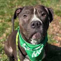 Thumbnail photo of Ruby #1