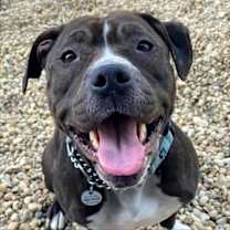 Thumbnail photo of Ruby #4