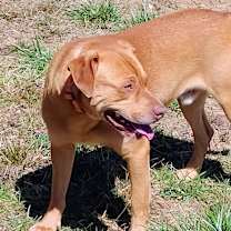 Thumbnail photo of Fred #3