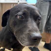 Thumbnail photo of Marty #2