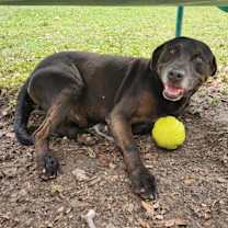 Thumbnail photo of Marty #4