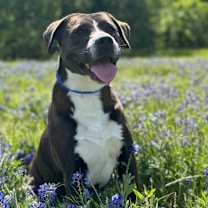 Thumbnail photo of Mallory #2