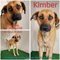 Thumbnail photo of Kimber #2