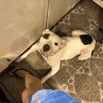 Thumbnail photo of Ellie Pink #4