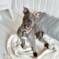 Thumbnail photo of Clara #3