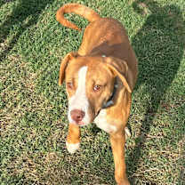 Thumbnail photo of Mikey #3