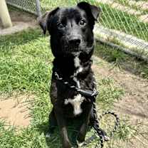 Thumbnail photo of Flora #2