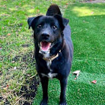 Thumbnail photo of Flora #3