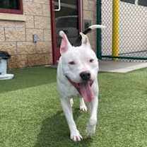 Thumbnail photo of Cathy #1