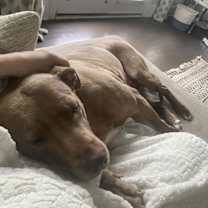 Thumbnail photo of Ocean #3