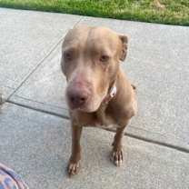 Thumbnail photo of Ocean #4