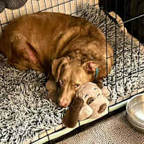 Thumbnail photo of Tiberius Riker #4