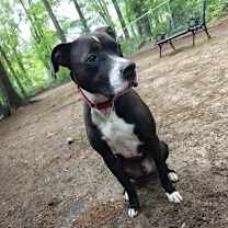 Thumbnail photo of Turbo #3