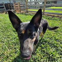 Thumbnail photo of Davonna #4