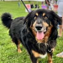 Thumbnail photo of Cooper #1