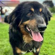 Thumbnail photo of Cooper #2