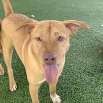 Thumbnail photo of Casey #2