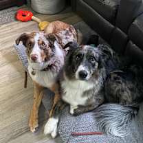 Thumbnail photo of Wickett #4