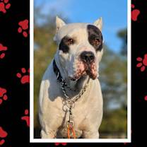 Thumbnail photo of Eloy #1