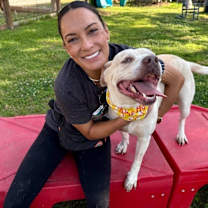 Thumbnail photo of Daisy Dog the happy Family lab #1