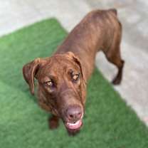 Thumbnail photo of Peanut #2