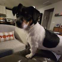 Thumbnail photo of Cody #1