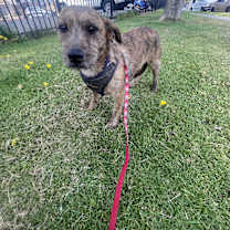 Thumbnail photo of Leona #1