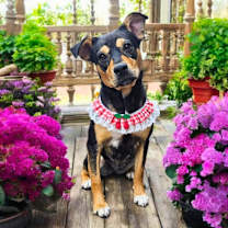 Thumbnail photo of Sabrina #1