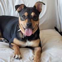 Thumbnail photo of Sabrina #3