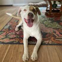 Thumbnail photo of June #2