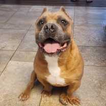 Thumbnail photo of PRETTY #1