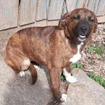 Thumbnail photo of Boots #1