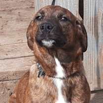 Thumbnail photo of Boots #2