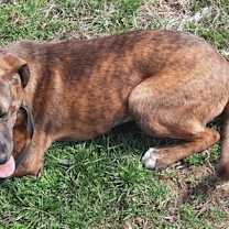 Thumbnail photo of Boots #3