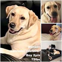 Thumbnail photo of Benson from Korea #1