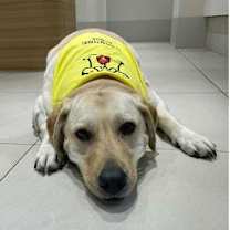 Thumbnail photo of Benson from Korea #3