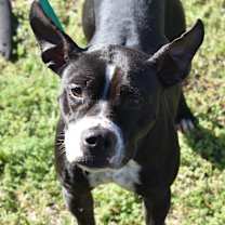 Thumbnail photo of Lyla  #4